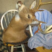 img_1977-web.jpg