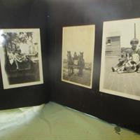 img_5546-web.jpg