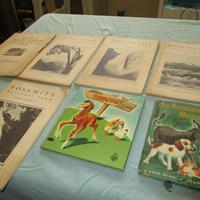 img_5548-web.jpg