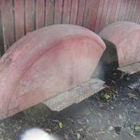 img_8311-web.jpg