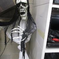 img_0655-web.jpg