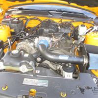 img_1835-web.jpg