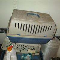 img_2426-web.jpg