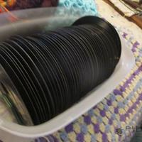 img_0913-web.jpg