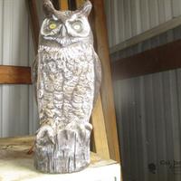 img_2038-web.jpg