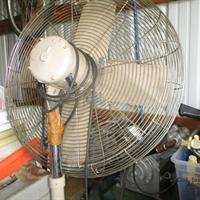 img_2040-web.jpg