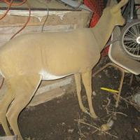 img_2441-web.jpg
