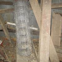 img_2443-web.jpg