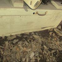 img_2447-web.jpg