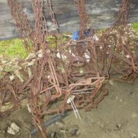 img_2455-web.jpg