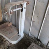 img_7591-web.jpg