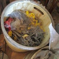 img_8213-web.jpg