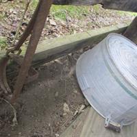 img_2456-web.jpg