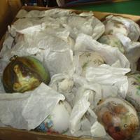 img_1131-web.jpg