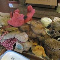 img_8378-web.jpg