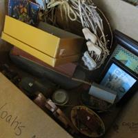 img_8387-web.jpg