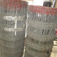 img_1775-web.jpg