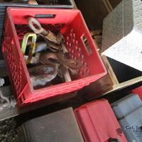 img_7600-web.jpg