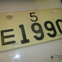 img_5416-web.jpg