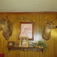 img_2501-web.jpg