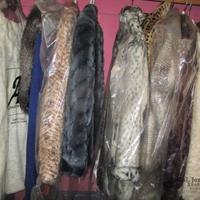 img_4709-web.jpg