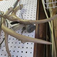 img_2315-web.jpg