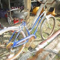 img_2409-web.jpg