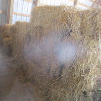 img_7626-web.jpg
