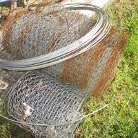img_2410-web.jpg