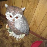 img_2530-web.jpg