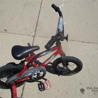 img_0781-web.jpg