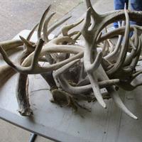 img_2320-web.jpg