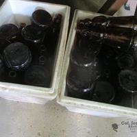 img_8450-web.jpg