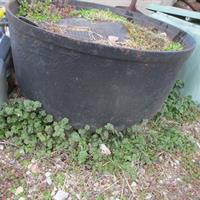 img_2545-web.jpg
