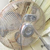 img_2419-web.jpg