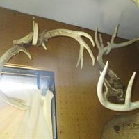 img_1327-web.jpg