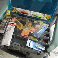 img_0806-web.jpg