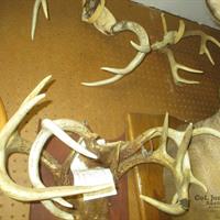 img_1329-web.jpg