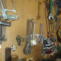 img_1265-web.jpg