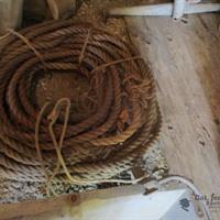 img_8277-web.jpg