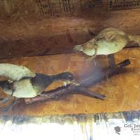 img_4759-web.jpg