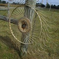 img_7762-web.jpg