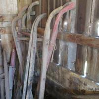 img_8281-web.jpg