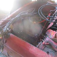 img_8284-web.jpg